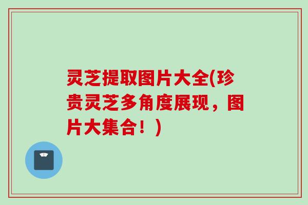 灵芝提取图片大全(珍贵灵芝多角度展现，图片大集合！)