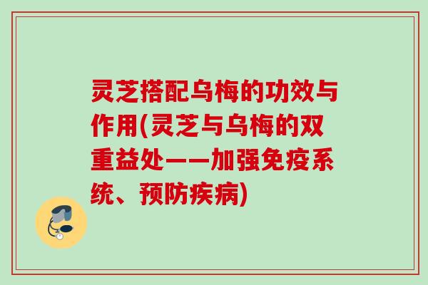 灵芝搭配乌梅的功效与作用(灵芝与乌梅的双重益处——加强免疫系统、) 灵芝搭配乌梅的功效与作用(灵芝与乌梅的双重益处——加强免疫系统、)