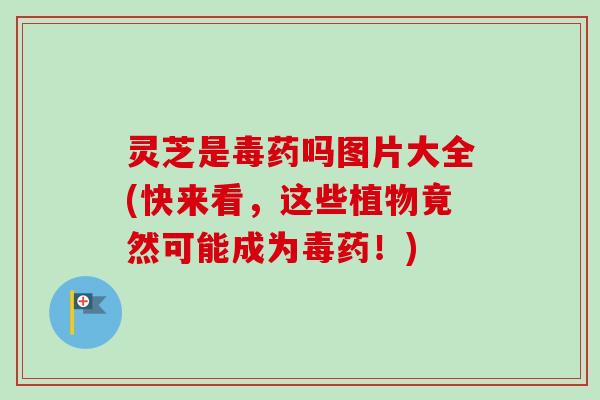 灵芝是毒药吗图片大全(快来看，这些植物竟然可能成为毒药！)