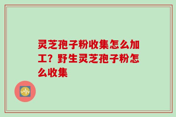 灵芝孢子粉收集怎么加工?野生灵芝孢子粉怎么收集 灵芝孢子粉收集怎么加工?野生灵芝孢子粉怎么收集