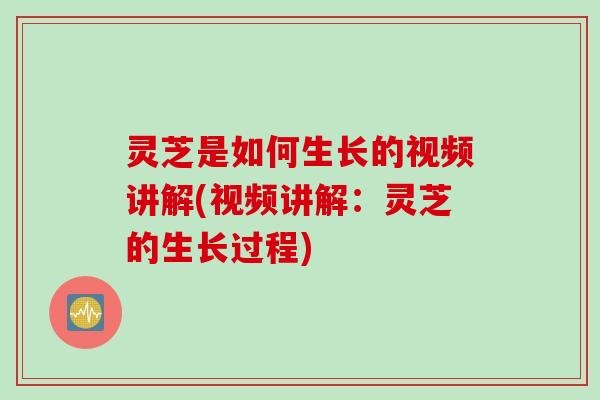 灵芝是如何生长的视频讲解(视频讲解：灵芝的生长过程)