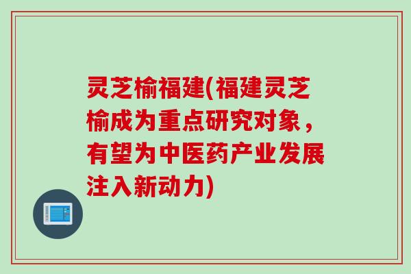 灵芝榆福建(福建灵芝榆成为重点研究对象，有望为中医药产业发展注入新动力)