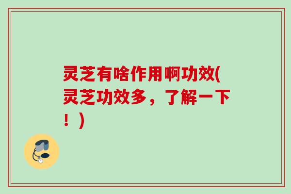 灵芝有啥作用啊功效(灵芝功效多，了解一下！)