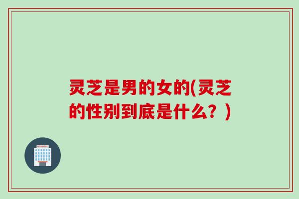 灵芝是男的女的(灵芝的性别到底是什么？)