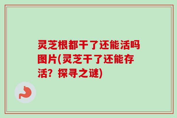 灵芝根都干了还能活吗图片(灵芝干了还能存活？探寻之谜)