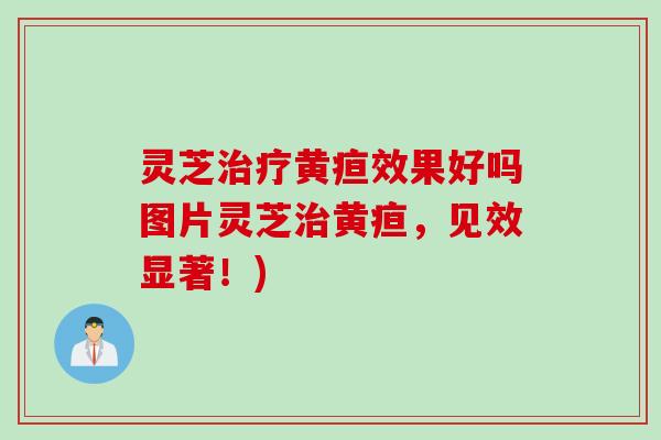 灵芝黄疸效果好吗图片灵芝黄疸，见效显著！)