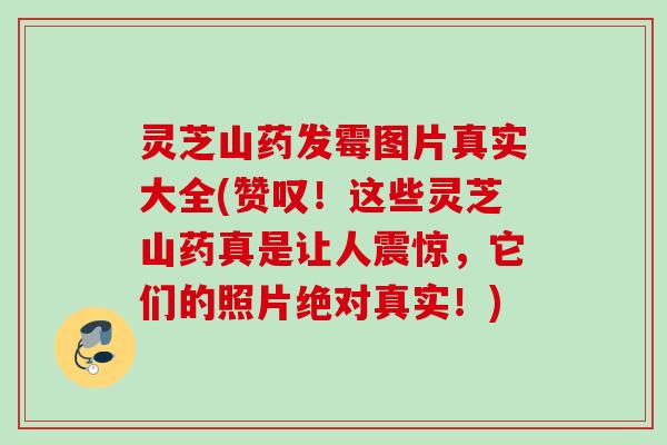 灵芝山药发霉图片真实大全(赞叹！这些灵芝山药真是让人震惊，它们的照片绝对真实！)