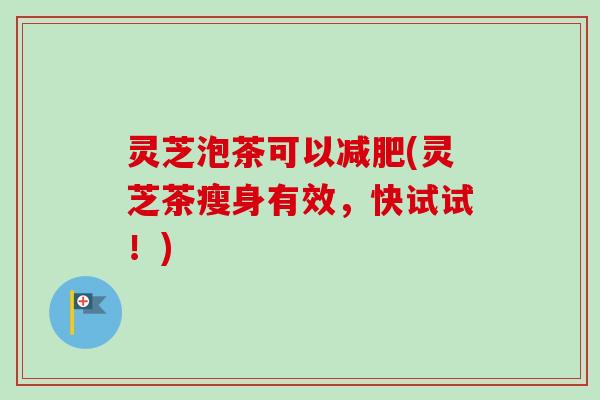 灵芝泡茶可以(灵芝茶瘦身有效,快试试!) 灵芝泡茶可以(灵芝茶瘦身有效,快试试!)