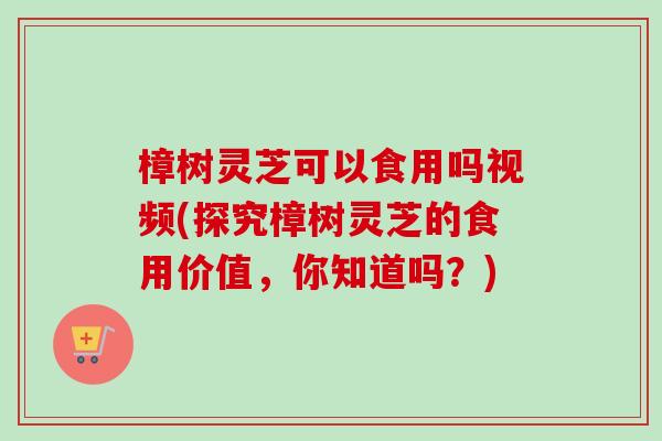 樟树灵芝可以食用吗视频(探究樟树灵芝的食用价值,你知道吗?) 樟树灵芝可以食用吗视频(探究樟树灵芝的食用价值,你知道吗?)