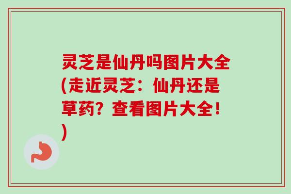 灵芝是仙丹吗图片大全(走近灵芝：仙丹还是草药？查看图片大全！)