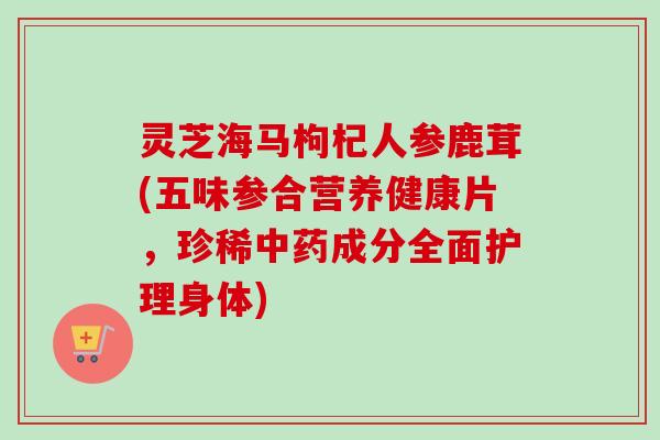 灵芝海马枸杞人参鹿茸(五味参合营养健康片，珍稀中药成分全面护理身体)