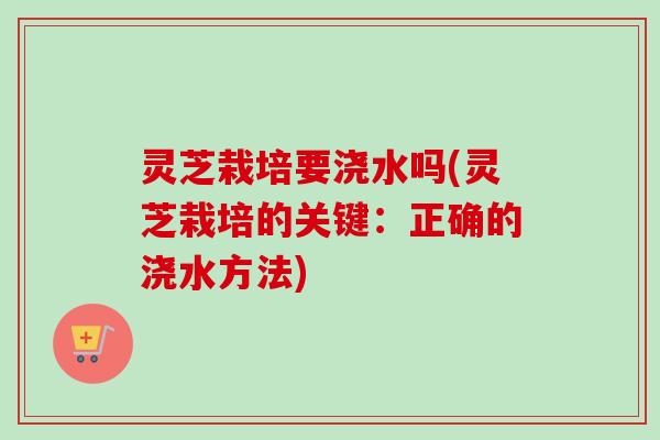 灵芝栽培要浇水吗(灵芝栽培的关键：正确的浇水方法)