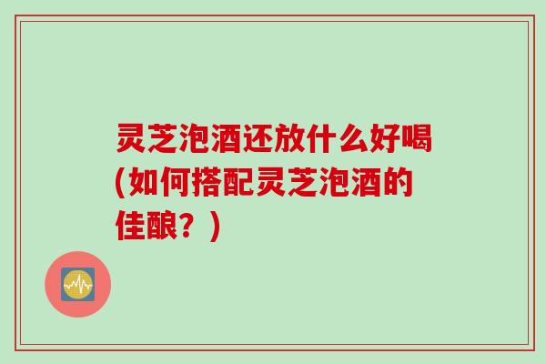 灵芝泡酒还放什么好喝(如何搭配灵芝泡酒的佳酿?) 灵芝泡酒还放什么好喝(如何搭配灵芝泡酒的佳酿?)