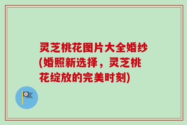 灵芝桃花图片大全婚纱(婚照新选择，灵芝桃花绽放的完美时刻)