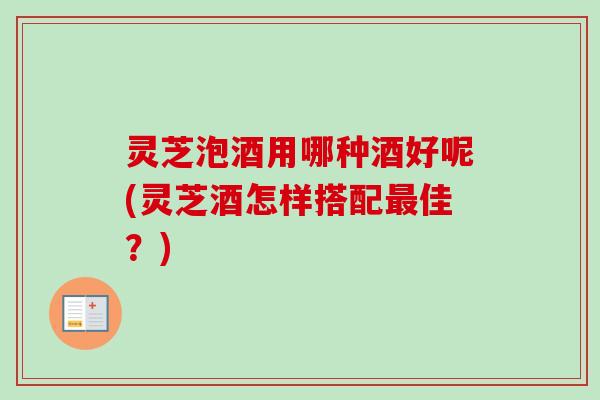 灵芝泡酒用哪种酒好呢(灵芝酒怎样搭配最佳？)