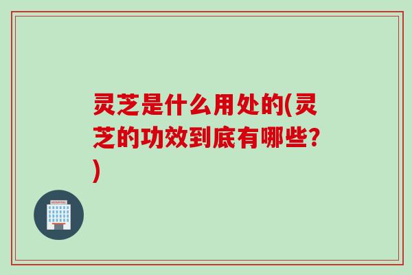 灵芝是什么用处的(灵芝的功效到底有哪些？)