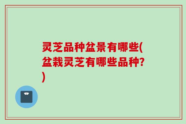 灵芝品种盆景有哪些(盆栽灵芝有哪些品种？)