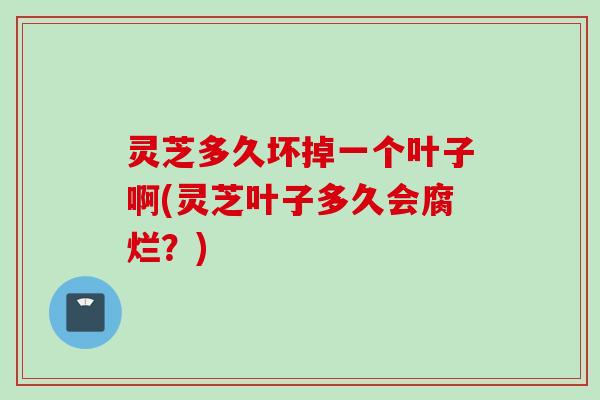 灵芝多久坏掉一个叶子啊(灵芝叶子多久会腐烂？)