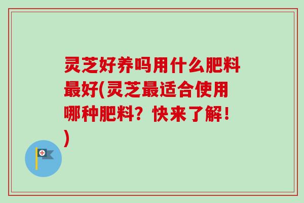 灵芝好养吗用什么肥料最好(灵芝最适合使用哪种肥料？快来了解！)