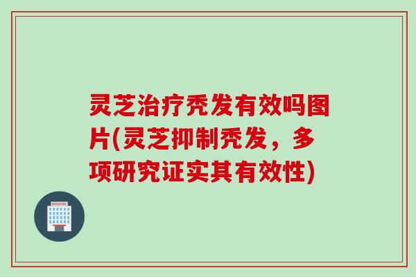 灵芝治疗秃发有效吗图片(灵芝抑制秃发，多项研究证实其有效性)
