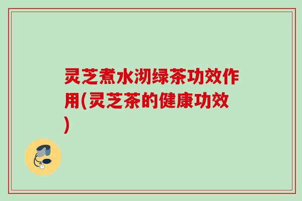 灵芝煮水沏绿茶功效作用(灵芝茶的健康功效)