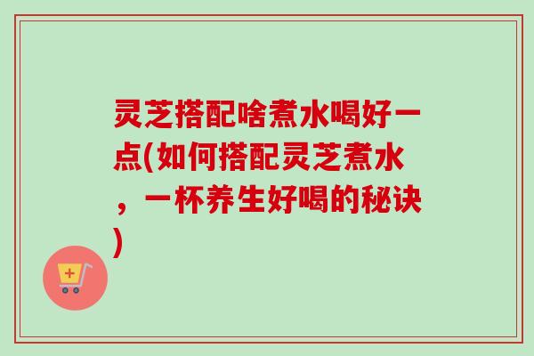 灵芝搭配啥煮水喝好一点(如何搭配灵芝煮水，一杯养生好喝的秘诀)
