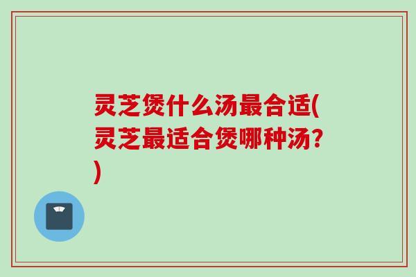 灵芝煲什么汤最合适(灵芝最适合煲哪种汤？)