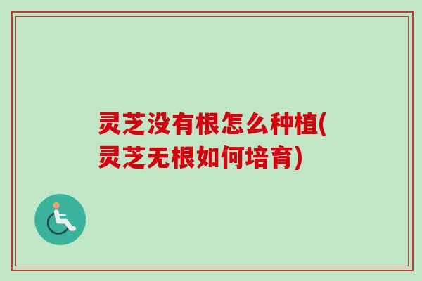 灵芝没有根怎么种植(灵芝无根如何培育)