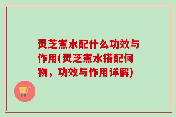 灵芝煮水配什么功效与作用(灵芝煮水搭配何物,功效与作用详解) 灵芝煮水配什么功效与作用(灵芝煮水搭配何物,功效与作用详解)