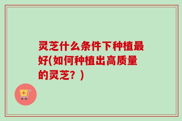 灵芝什么条件下种植最好(如何种植出高质量的灵芝？)