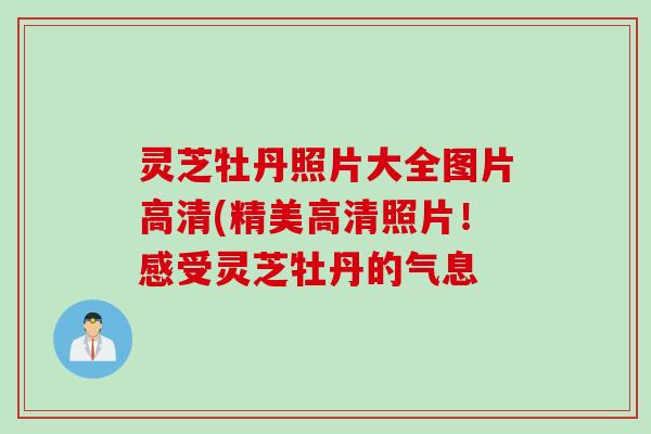 灵芝牡丹照片大全图片高清(精美高清照片！感受灵芝牡丹的气息