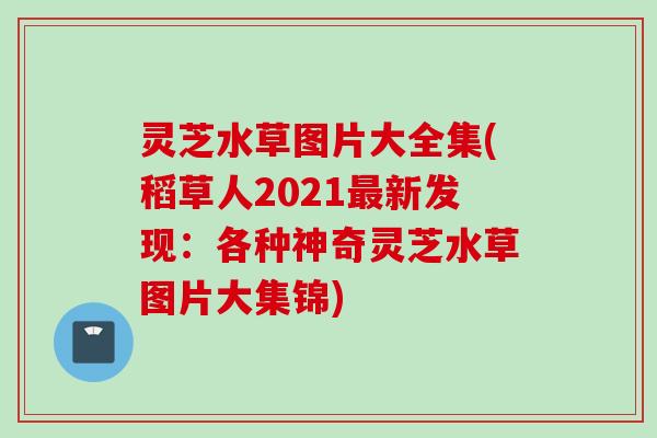 灵芝水草图片大全集(稻草人2021最新发现：各种神奇灵芝水草图片大集锦)
