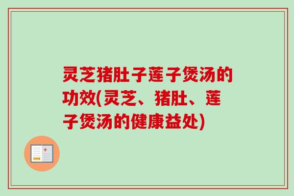 灵芝猪肚子莲子煲汤的功效(灵芝、猪肚、莲子煲汤的健康益处)