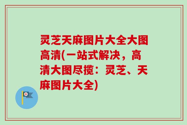 灵芝天麻图片大全大图高清(一站式解决，高清大图尽揽：灵芝、天麻图片大全)