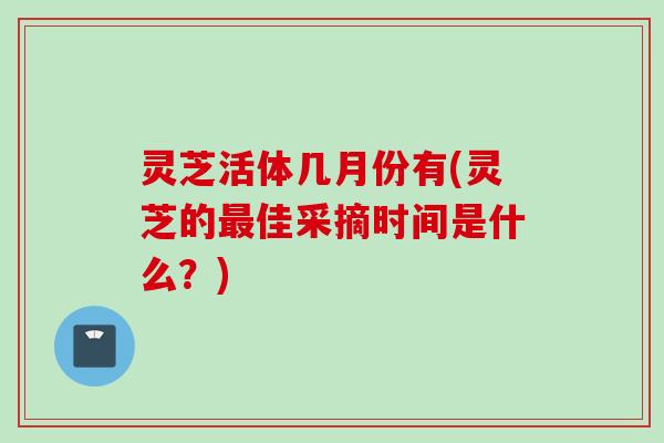 灵芝活体几月份有(灵芝的最佳采摘时间是什么？)