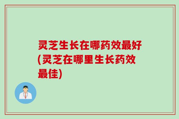 灵芝生长在哪好(灵芝在哪里生长佳) 灵芝生长在哪好(灵芝在哪里生长佳)