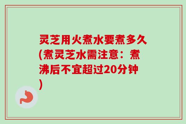 灵芝用火煮水要煮多久(煮灵芝水需注意：煮沸后不宜超过20分钟)