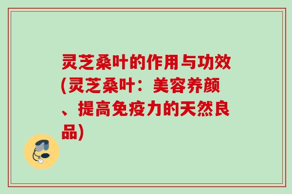 灵芝桑叶的作用与功效(灵芝桑叶：美容养颜、提高免疫力的天然良品)