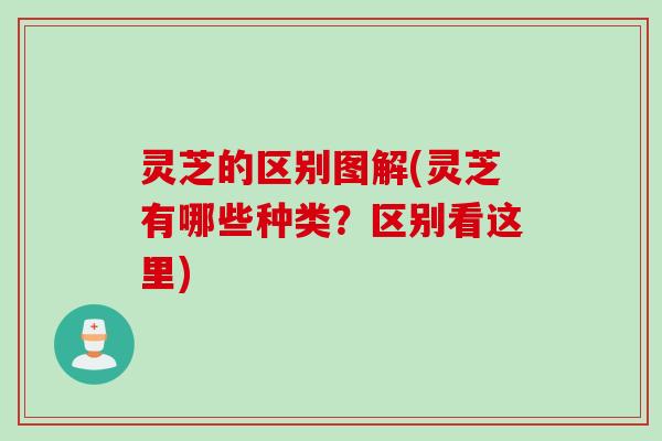 灵芝的区别图解(灵芝有哪些种类？区别看这里)