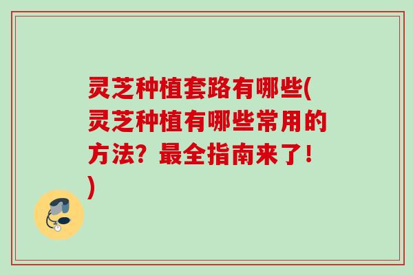 灵芝种植套路有哪些(灵芝种植有哪些常用的方法？最全指南来了！)