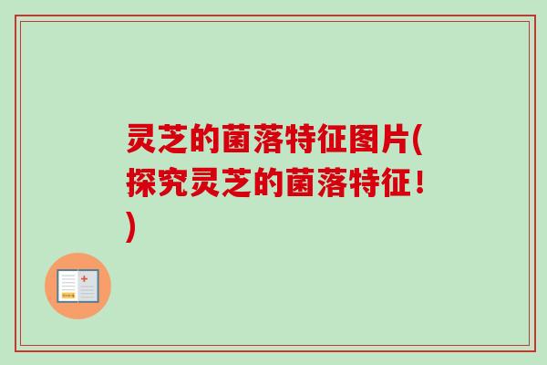 灵芝的菌落特征图片(探究灵芝的菌落特征!) 灵芝的菌落特征图片(探究灵芝的菌落特征!)