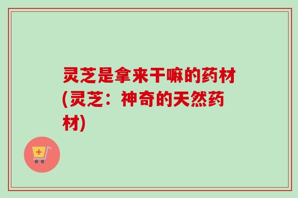 灵芝是拿来干嘛的药材(灵芝：神奇的天然药材)