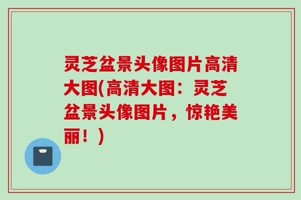 灵芝盆景头像图片高清大图(高清大图：灵芝盆景头像图片，惊艳美丽！)