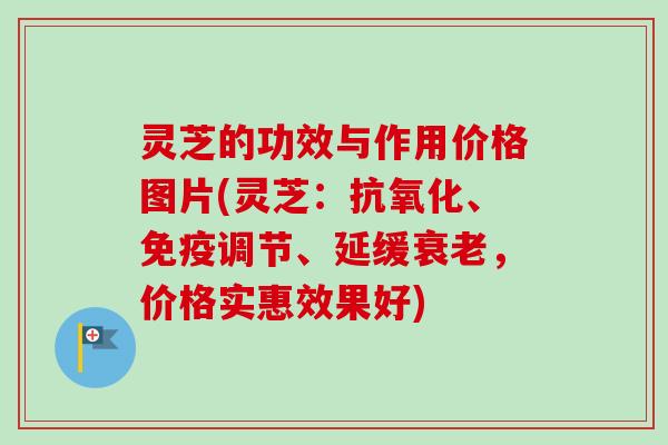灵芝的功效与作用价格图片(灵芝:、免疫调节、延缓,价格实惠效果好) 灵芝的功效与作用价格图片(灵芝:、免疫调节、延缓,价格实惠效果好)