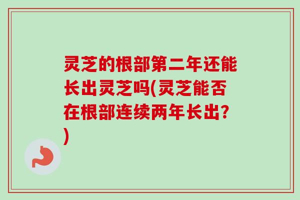 灵芝的根部第二年还能长出灵芝吗(灵芝能否在根部连续两年长出？)