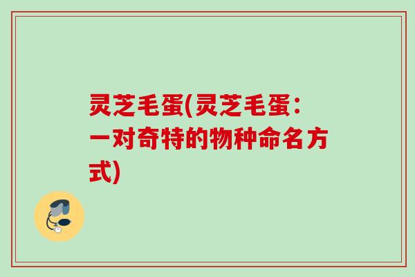 灵芝毛蛋(灵芝毛蛋：一对奇特的物种命名方式)