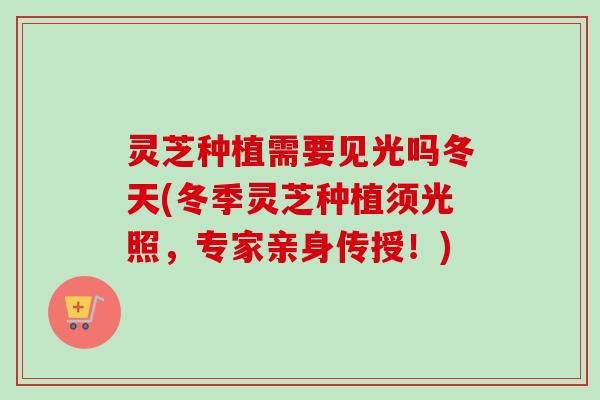 灵芝种植需要见光吗冬天(冬季灵芝种植须光照，专家亲身传授！)