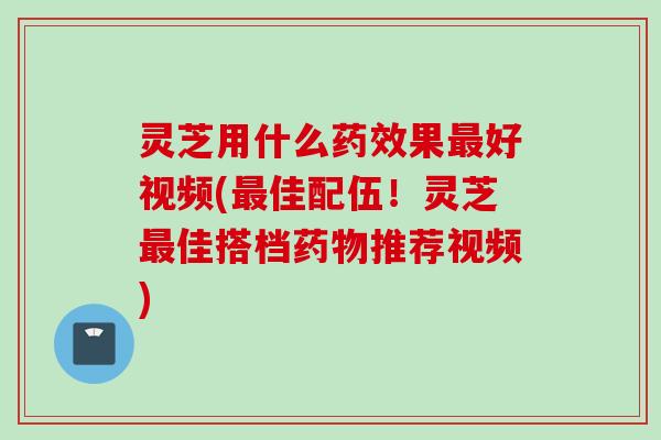 灵芝用什么药效果最好视频(最佳配伍！灵芝最佳搭档药物推荐视频)