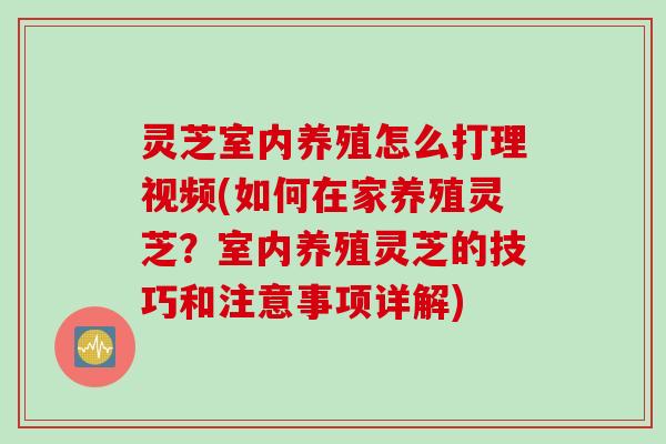 灵芝室内养殖怎么打理视频(如何在家养殖灵芝？室内养殖灵芝的技巧和注意事项详解)