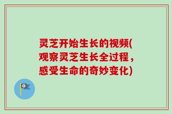 灵芝开始生长的视频(观察灵芝生长全过程，感受生命的奇妙变化)